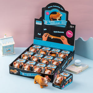 Squishy-Stretchy Corgie Display Set 12 pc